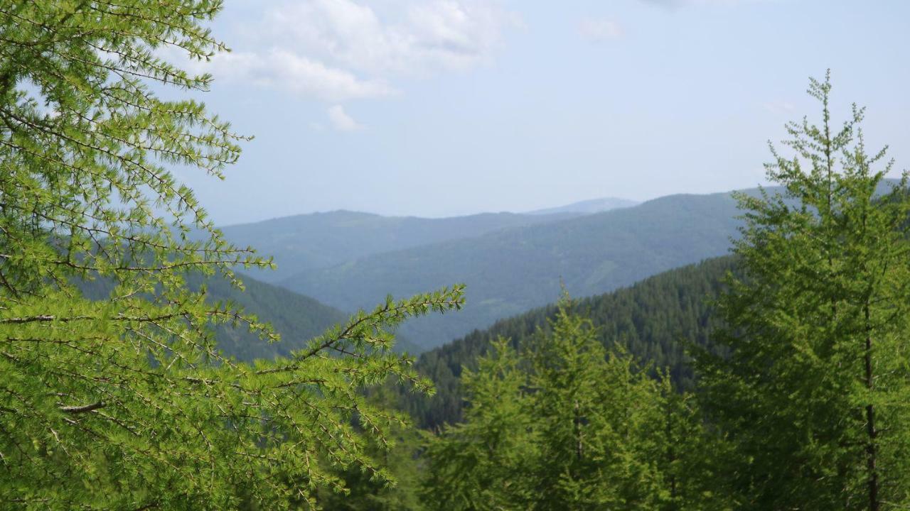 Almhaus Heidi Nockberge Villa Patergassen Bagian luar foto